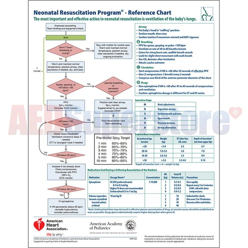 Neonatal Resuscitation Program Code Cart Card (Single)